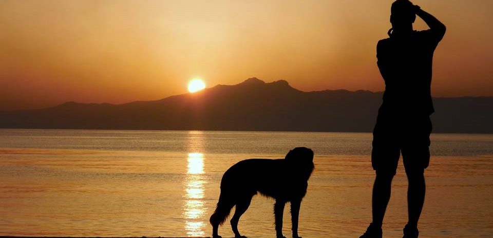 Me and a σκιλακι (greek for "puppy) taking in the Andros sunrise.