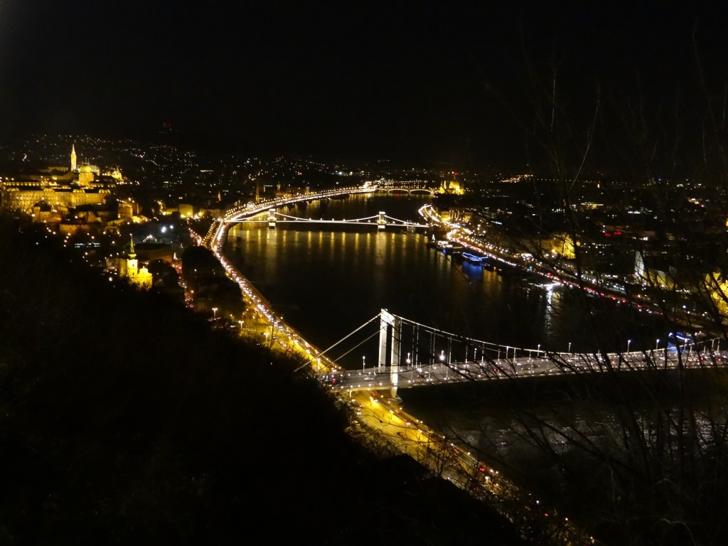 Budapest at night! On the left of the river is "Buda" and the right is "Pest"