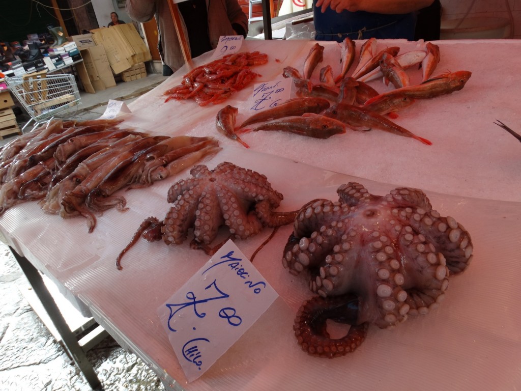 Octopus and squid...fresh off the boat!